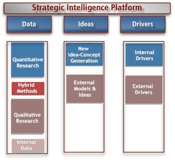Intelligencestrategy